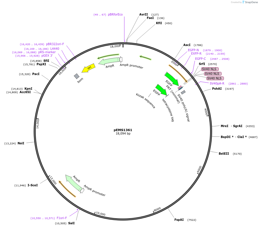 13577_map