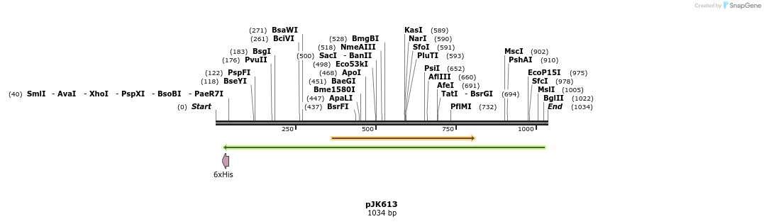 135772_map