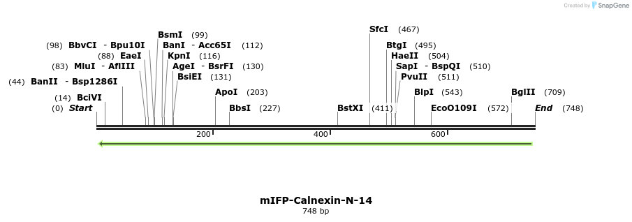 135773_map