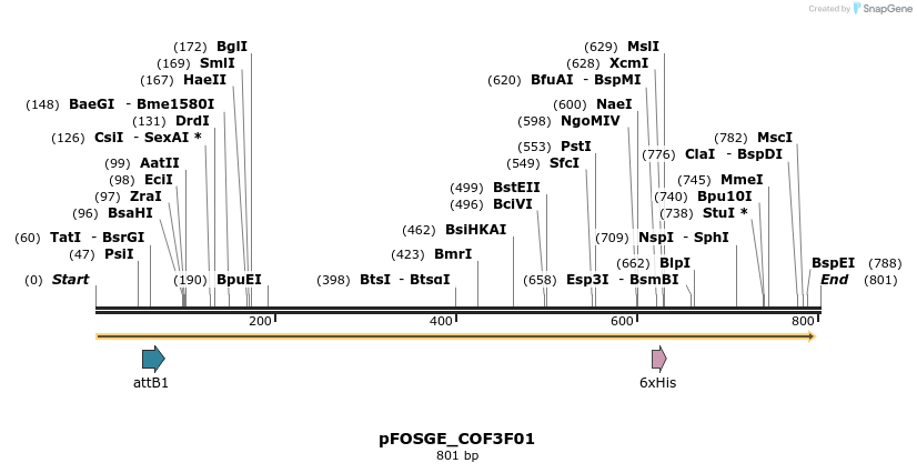 135774_map