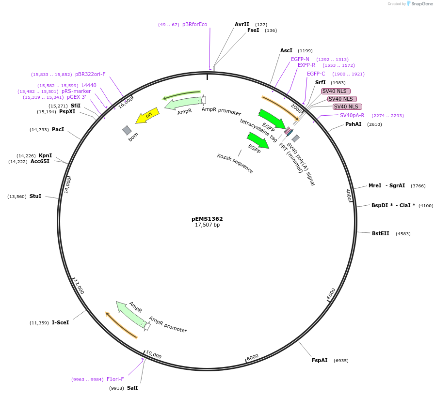13578_map