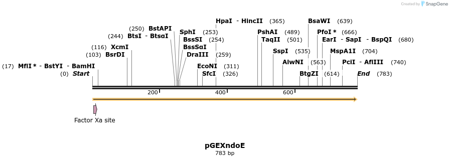 135787_map