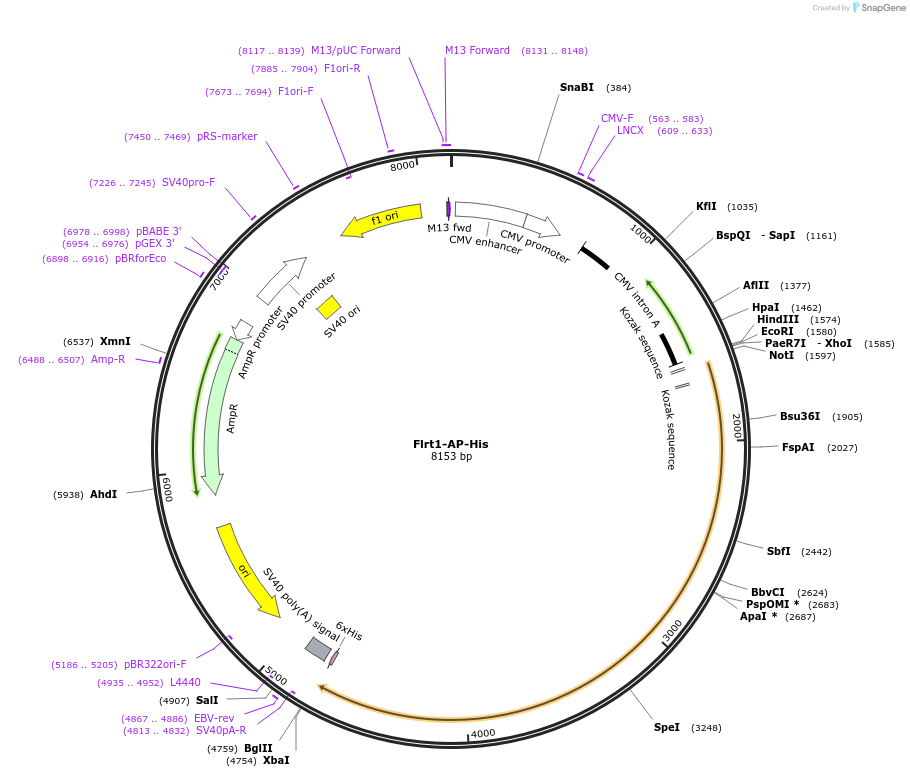 135793_map