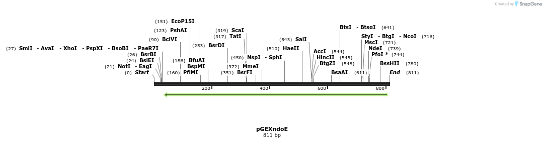 135794_map
