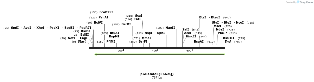 135804_map