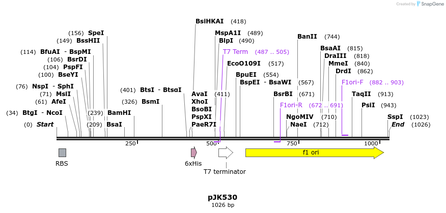 135807_map
