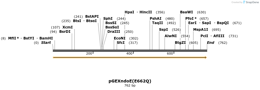 135808_map