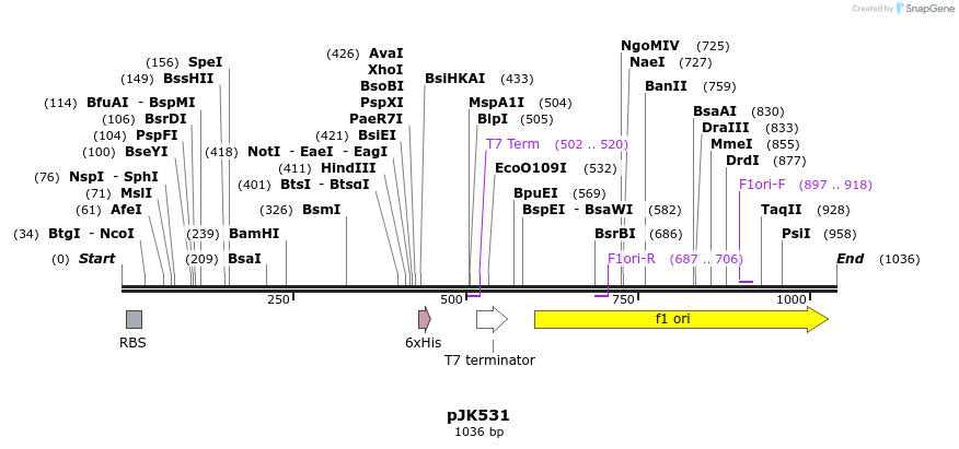135813_map