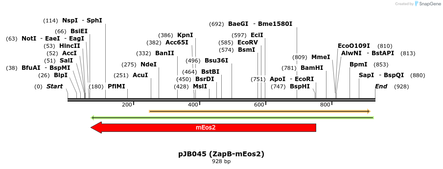 135815_map