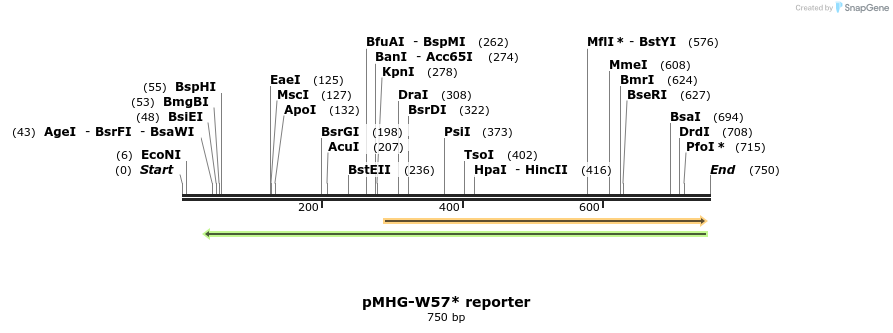 135823_map