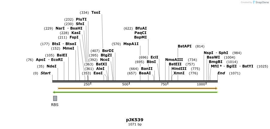 135825_map