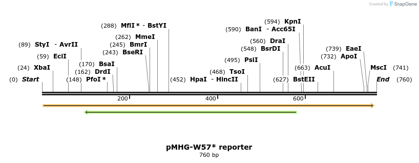 135828_map