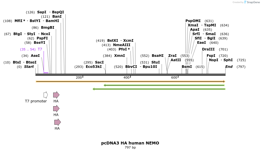135835_map