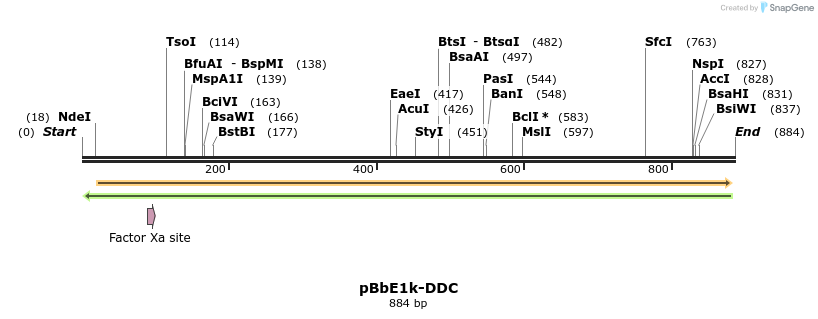 135838_map