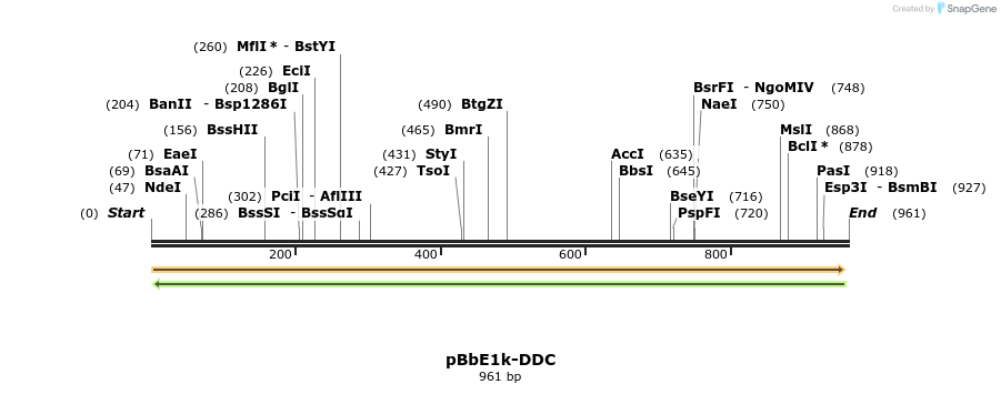 135839_map