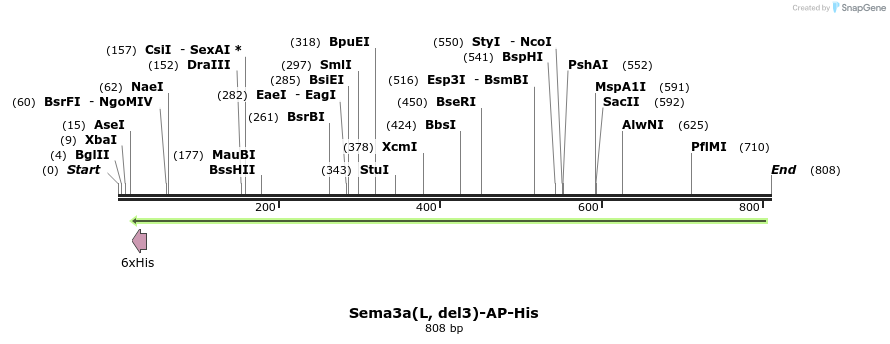 135849_map