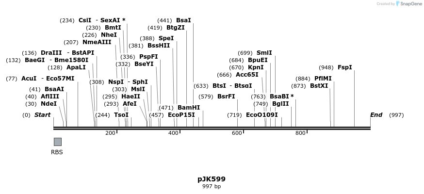 135851_map