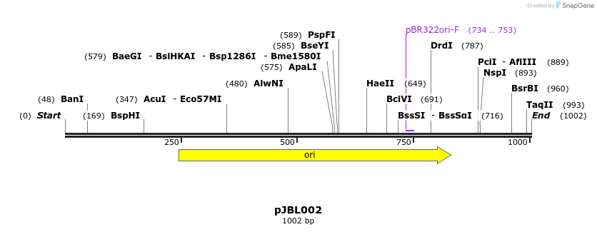 135862_map