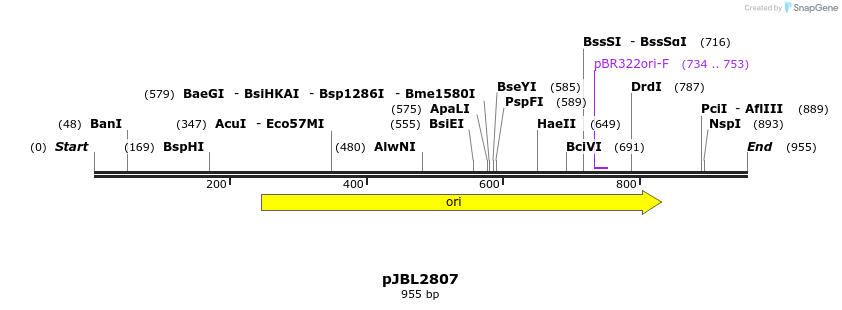 135865_map