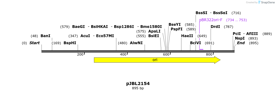 135867_map