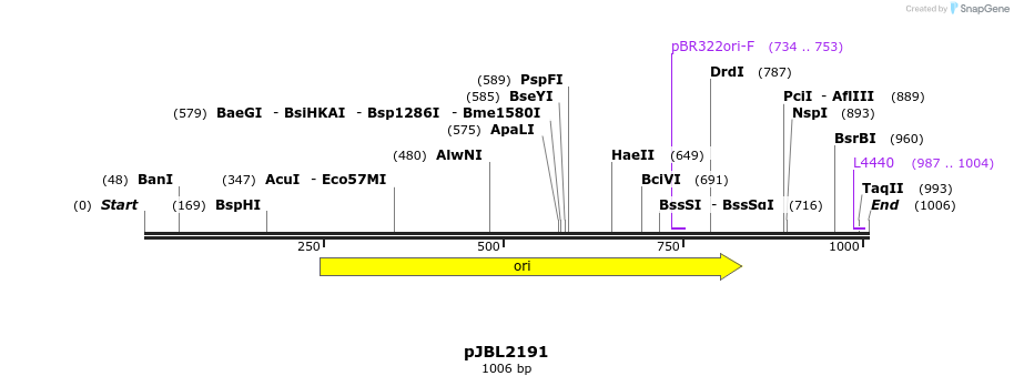 135871_map