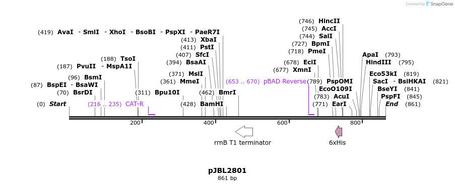 135880_map