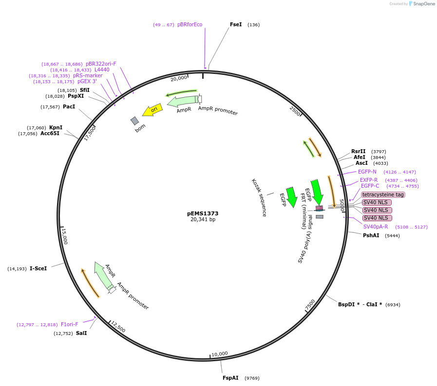 13589_map