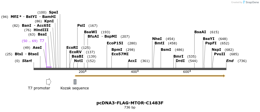 135895_map