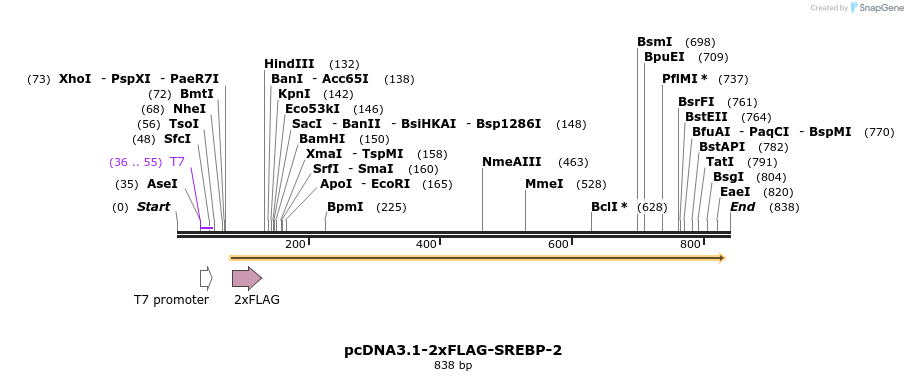 135897_map
