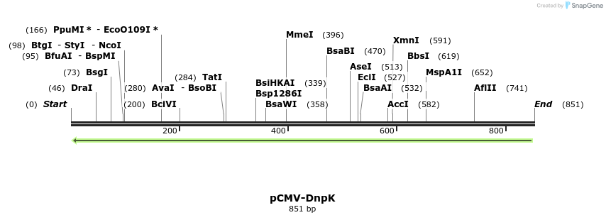 135900_map