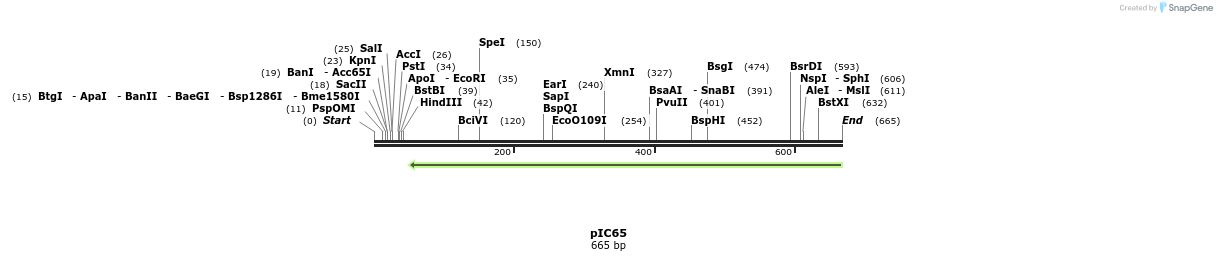 135905_map
