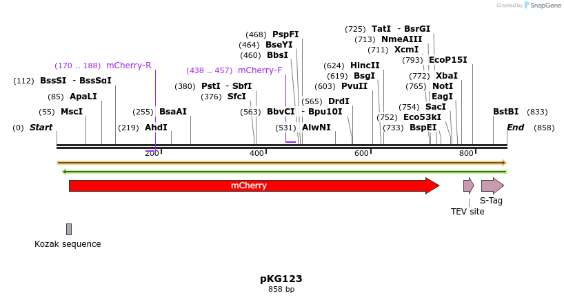 135906_map