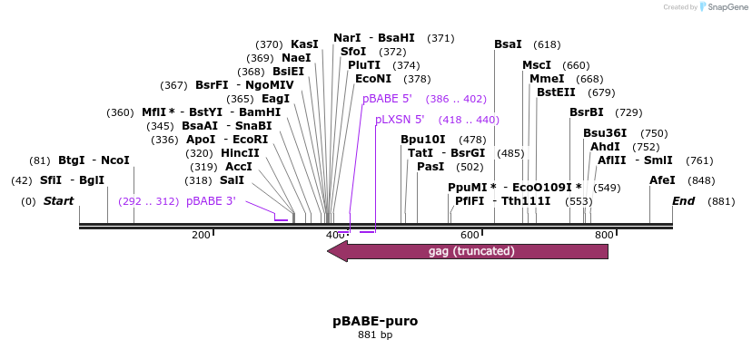 135910_map