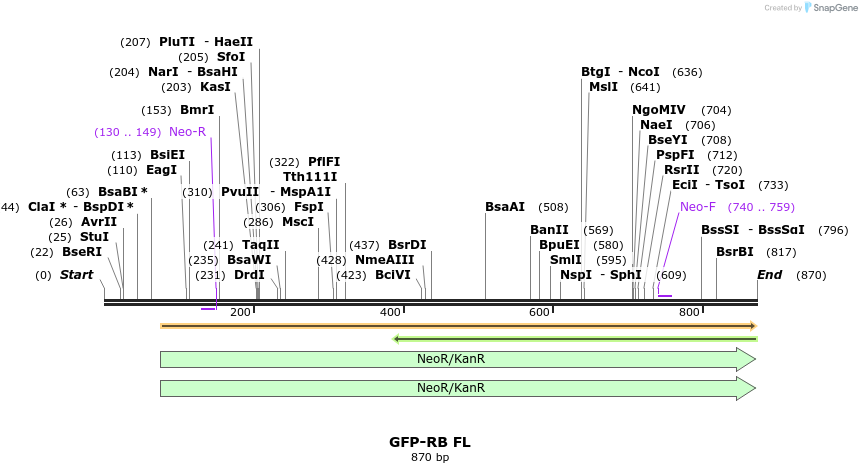 135912_map