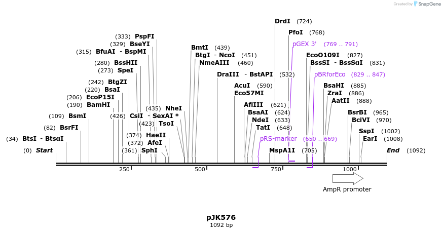 135917_map