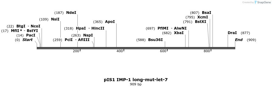 135918_map