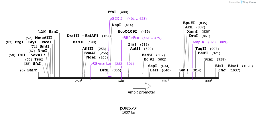 135920_map