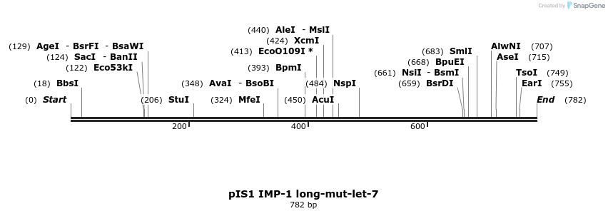 135921_map