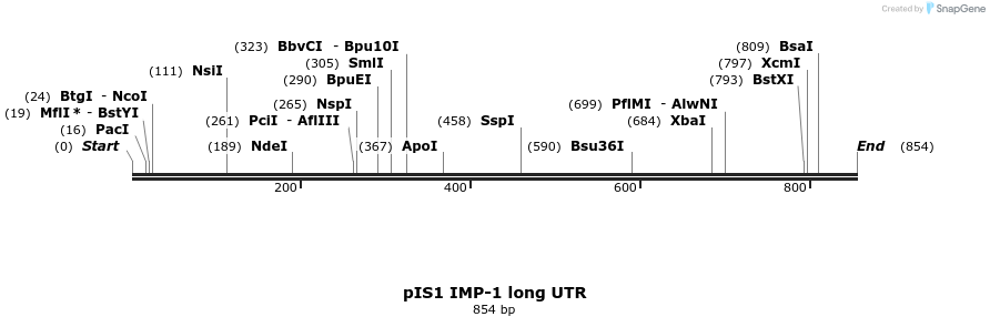 135923_map