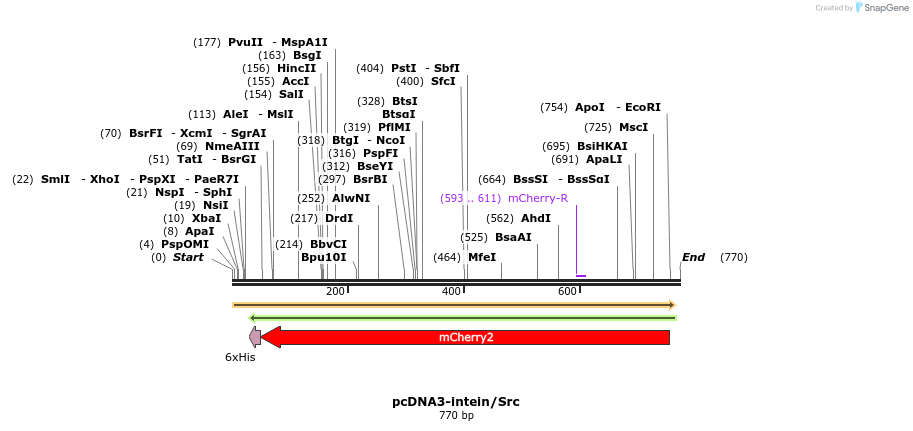 135927_map