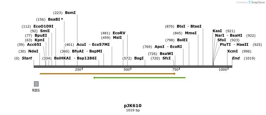 135931_map