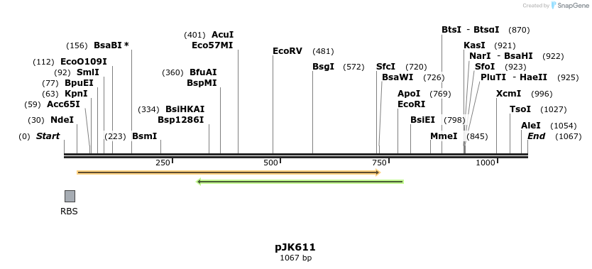 135933_map