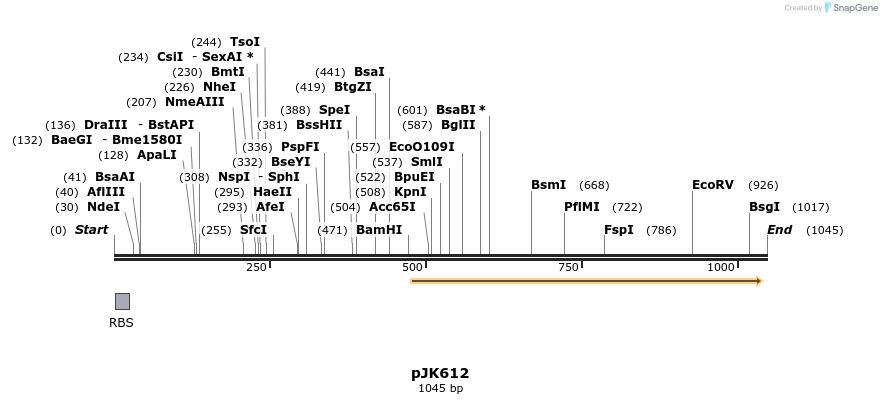 135937_map