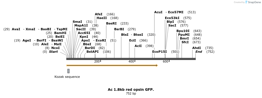 135947_map