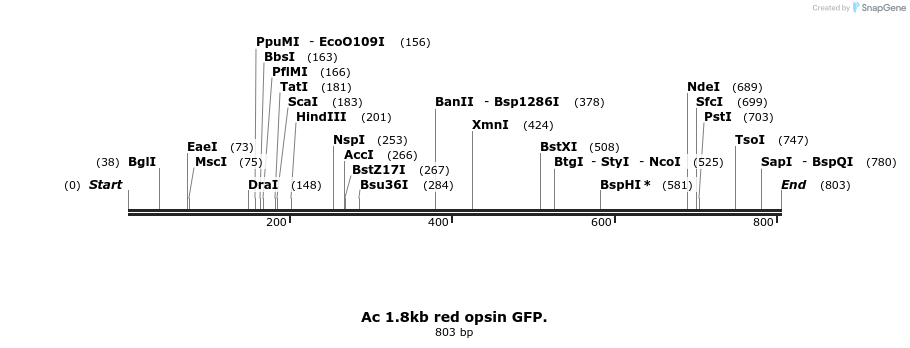 135948_map