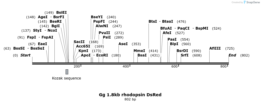 135950_map