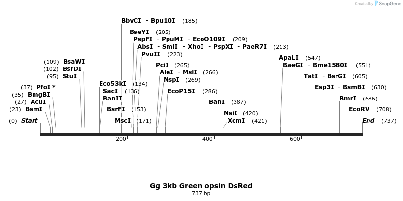 135958_map
