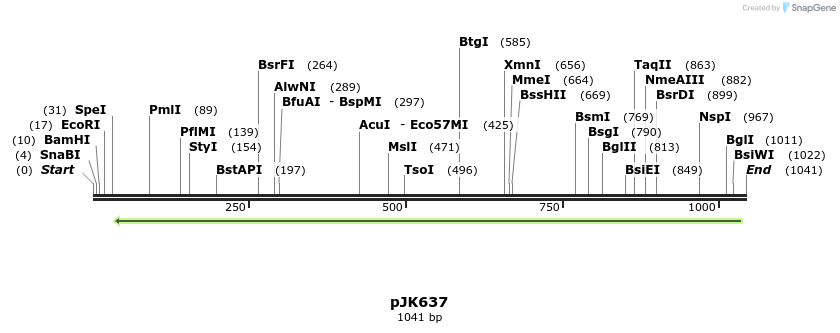 135960_map