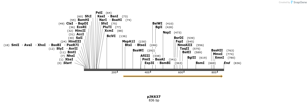 135961_map