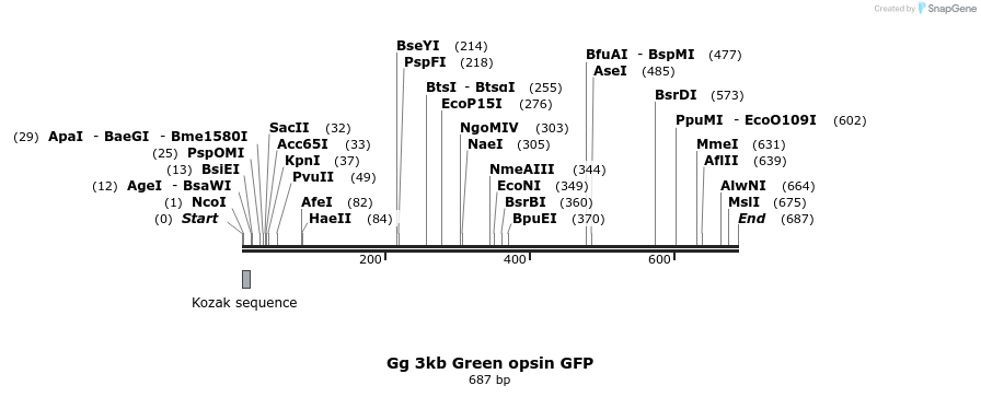 135966_map